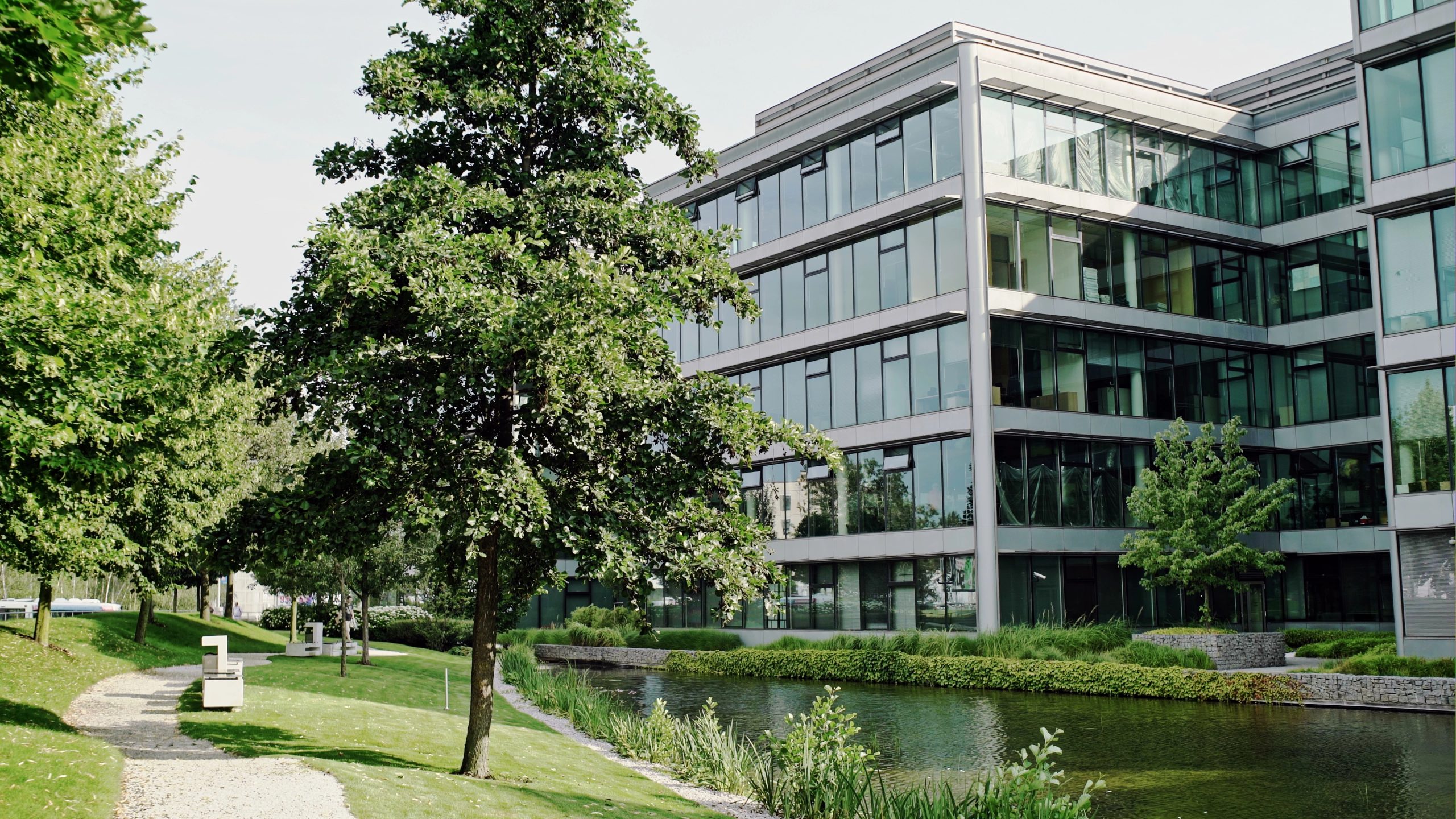 commercial tree service clients