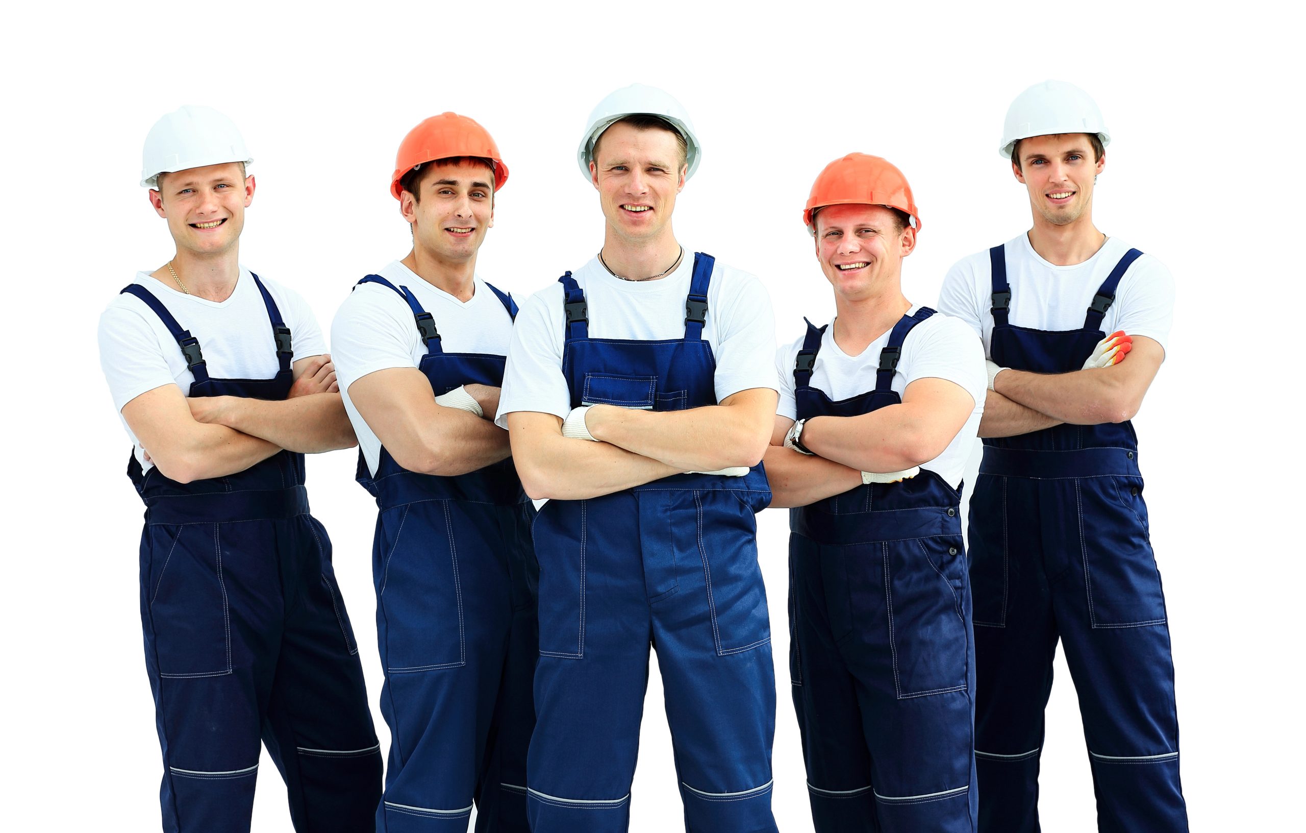 tree service business