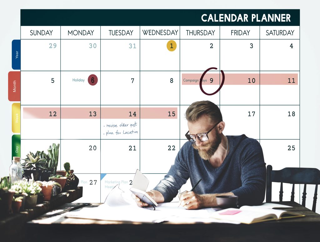 tree care maintenance plans